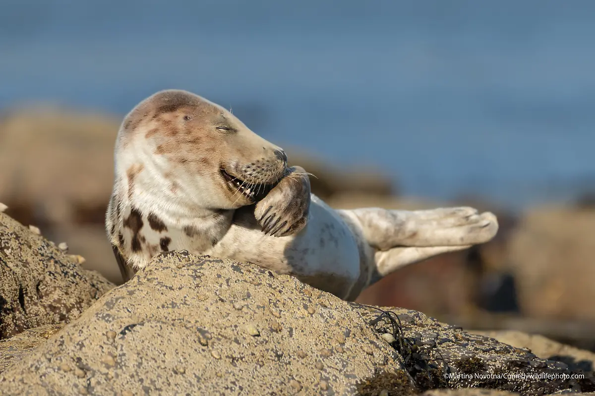 Martina-Novotna-Mr-Giggles-00006986-copy