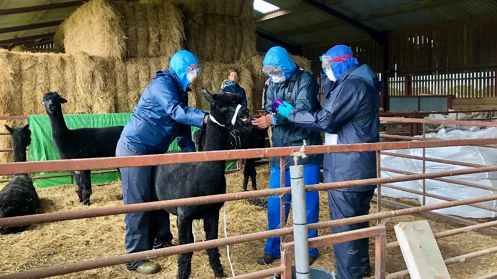 7ce72d571caa19eb2bb030004360ebb9