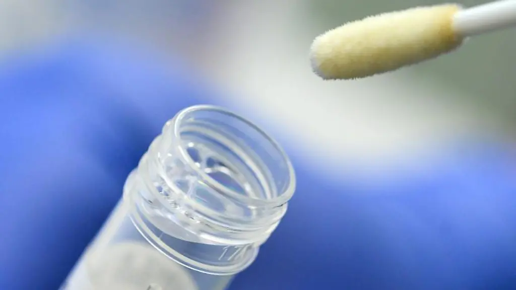 Ein-Abstrich-fuer-das-Testverfahren-auf-das-Coronavirus