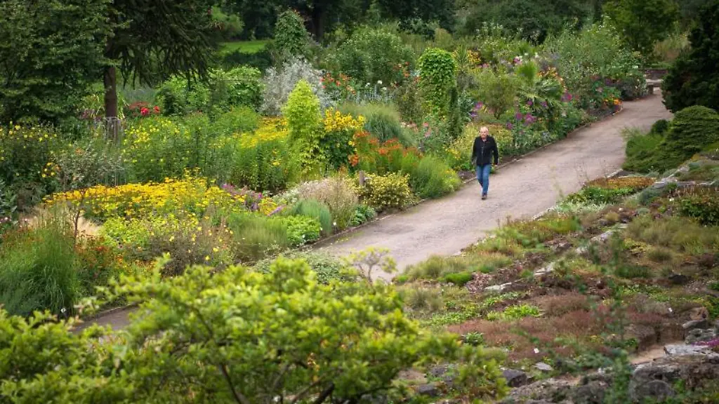 Cord-Juergens-gaertnerischer-Leiter-vom-Rhododendronpark-laeuft-durch-den-Park