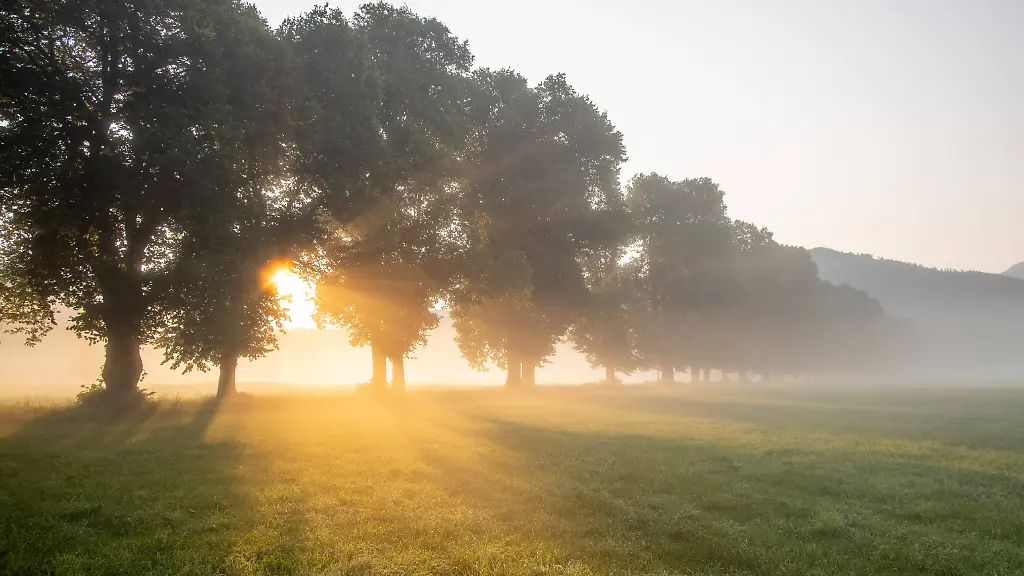 jwu-imago0104329182h