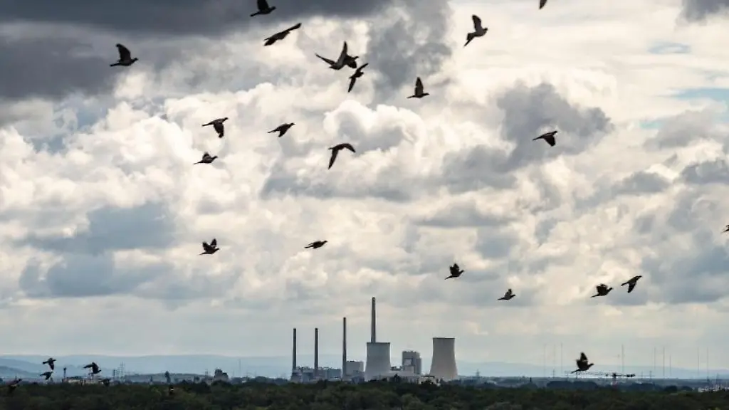 Eine-Schar-Tauben-fliegt-am-wolkigen-Himmel