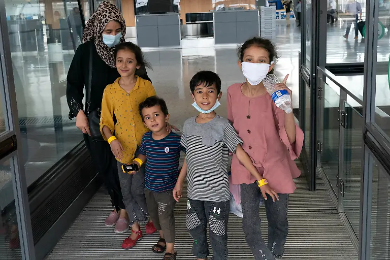 33e2c1bec216a0e8c4100a643caa1051