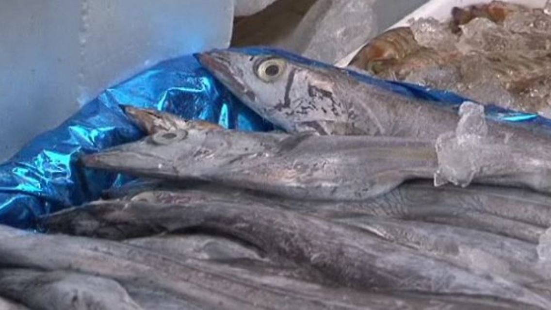Fisch.jpg