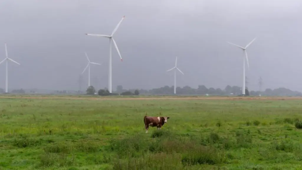 Eine-Kuh-steht-im-Regen-vor-Windraedern-und-dichten-grauen-Regenwolken-auf-einer-Wiese