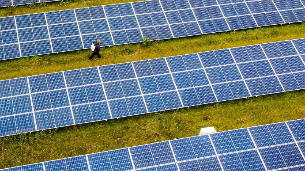 Ein-Mann-geht-an-den-Solarzellen-in-einem-Solarpark-vorbei