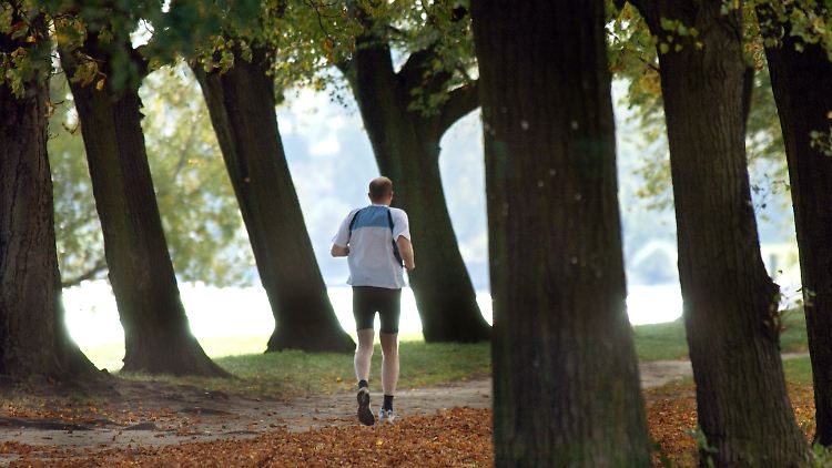 "Körperliches Ausdauertraining steigert nachweislich Aufmerksamkeit, Denkvermögen und Gedächtnisleistung."