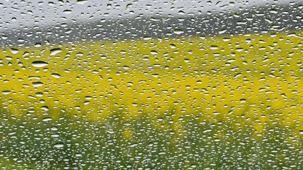 Ein-gelb-bluehendes-Rapsfeld-ist-hinter-einer-Autoscheibe-mit-Regentropfen-zu-erkennen