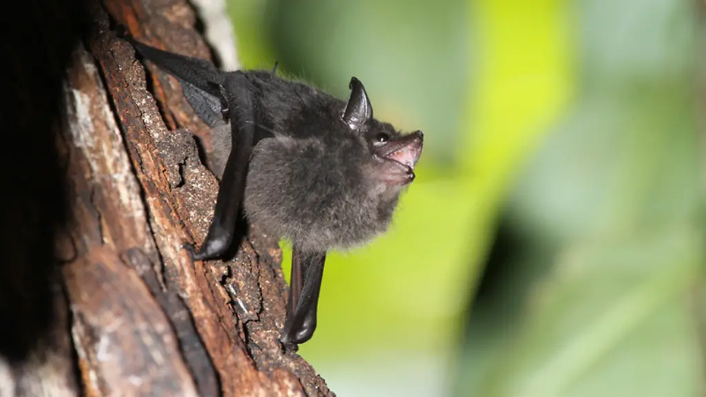 ACHTUNG-Frei-nur-im-Zusammenhang-mit-der-Berichterstattung-ueber-die-Studie