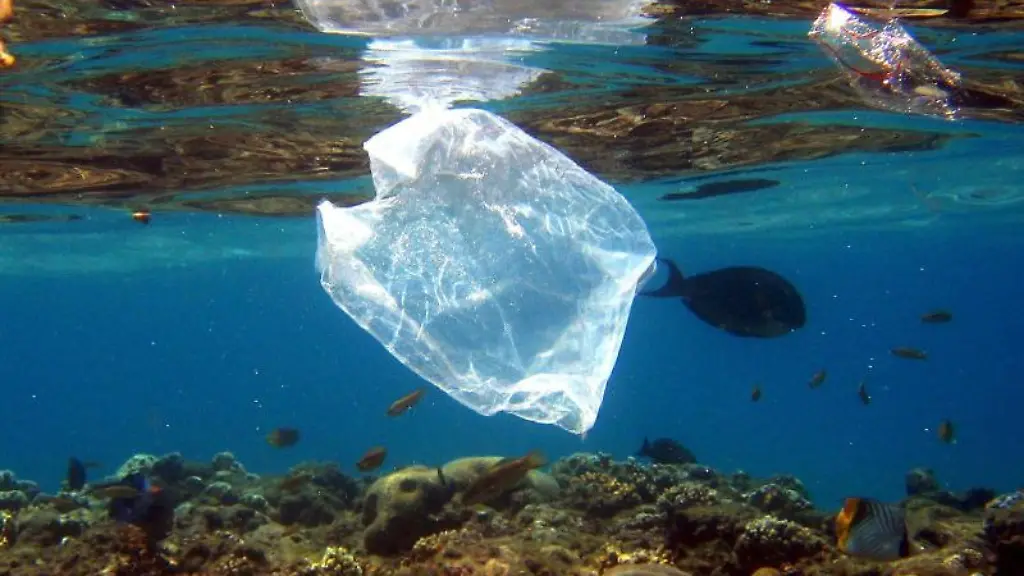 Ein-Fisch-schwimm-in-der-Naehe-einer-Plastiktuete-an-einem-Korallenriff-englang