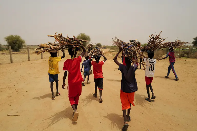 2021-07-28T120340Z-1844673057-RC2OHO9XE3GF-RTRMADP-3-SENEGAL-ENVIRONMENT-REFORESTATION