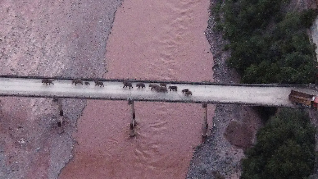 7c54ac1ec40261d2d12ee4293d887542