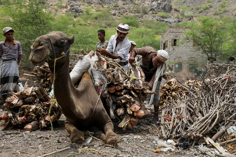 2021-08-11T090014Z-1962318153-RC2LXN9RJAXP-RTRMADP-3-YEMEN-SECURITY-DEFORESTATION