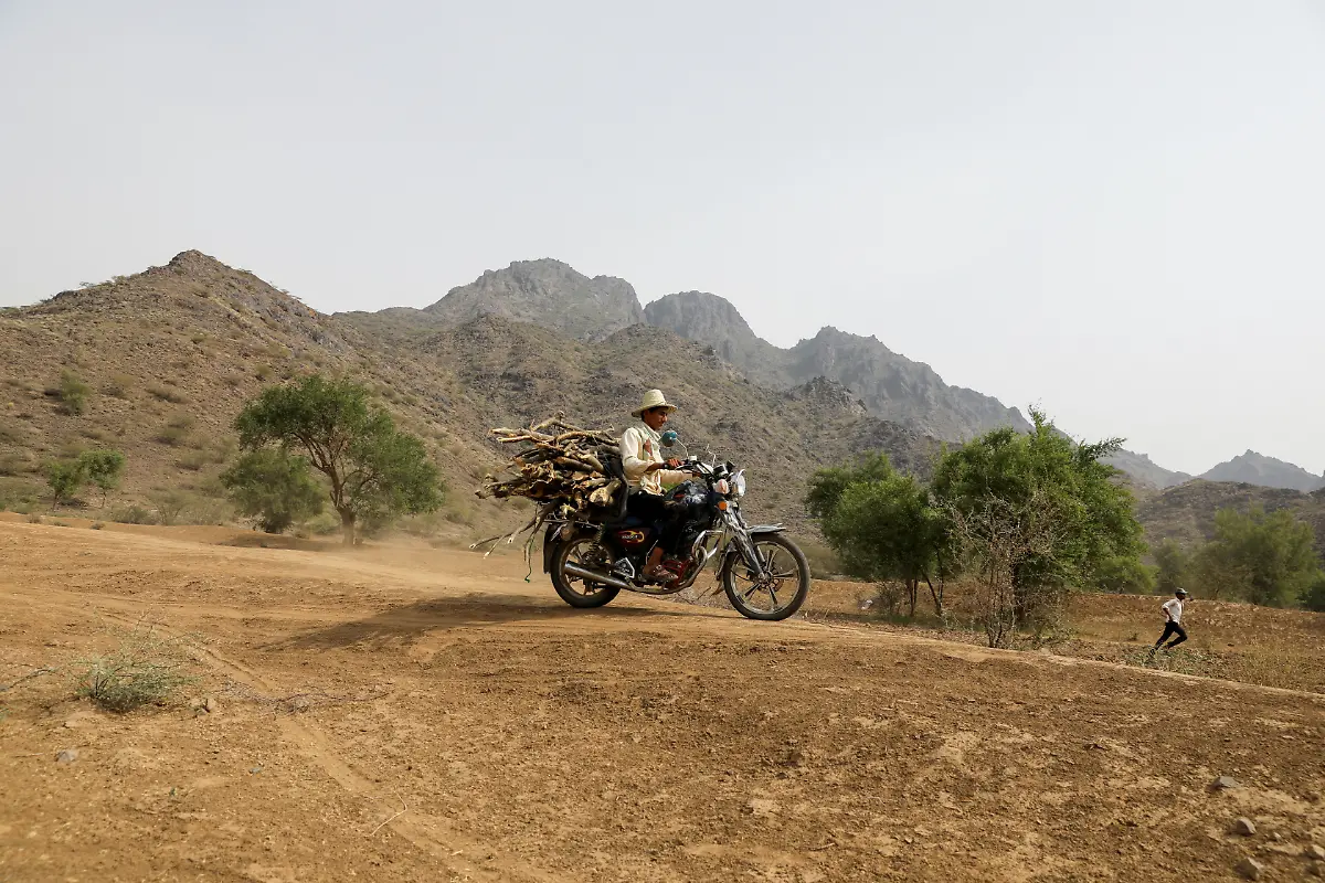 2021-08-11T090049Z-1389373205-RC2U6O9I6QPO-RTRMADP-3-YEMEN-SECURITY-DEFORESTATION