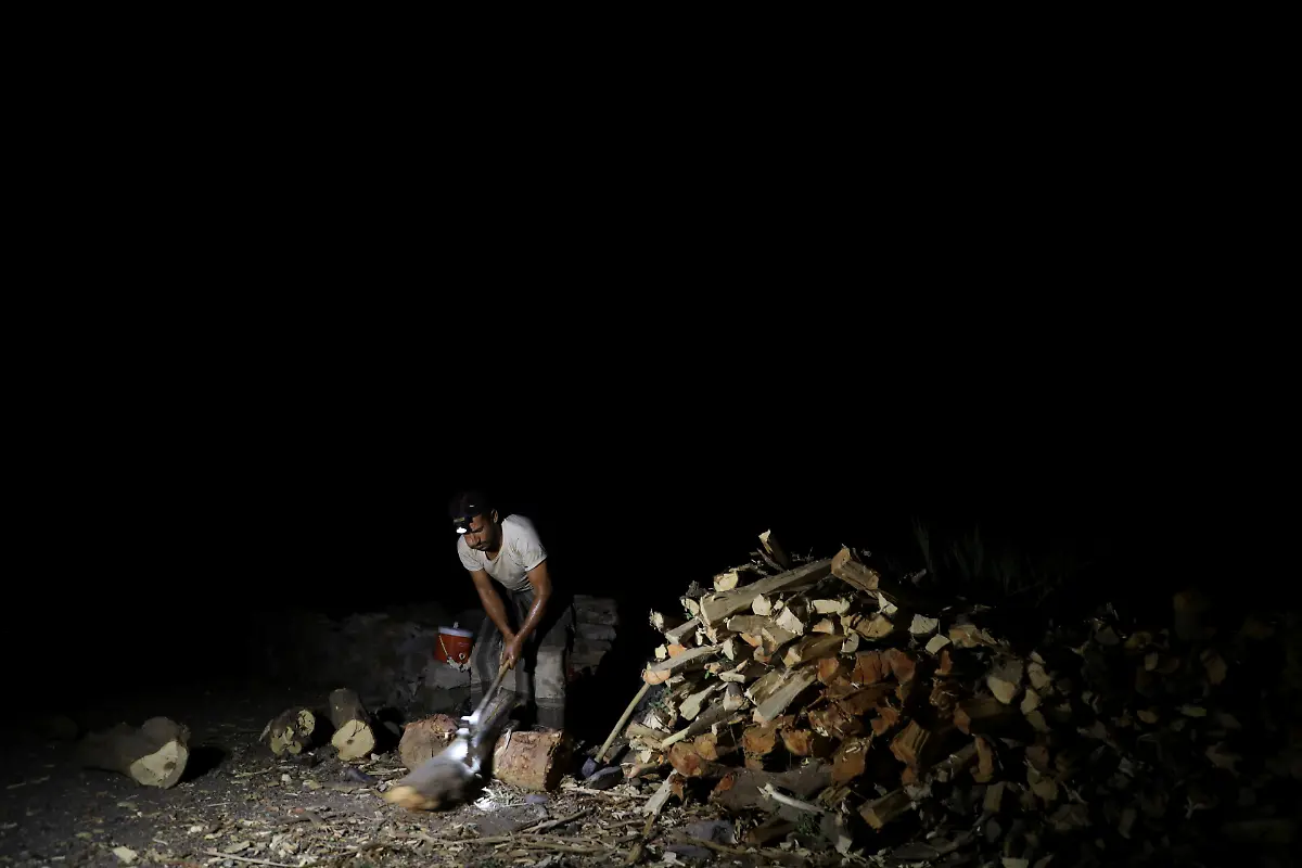 2021-08-11T090040Z-653607384-RC2V5O94MW2X-RTRMADP-3-YEMEN-SECURITY-DEFORESTATION