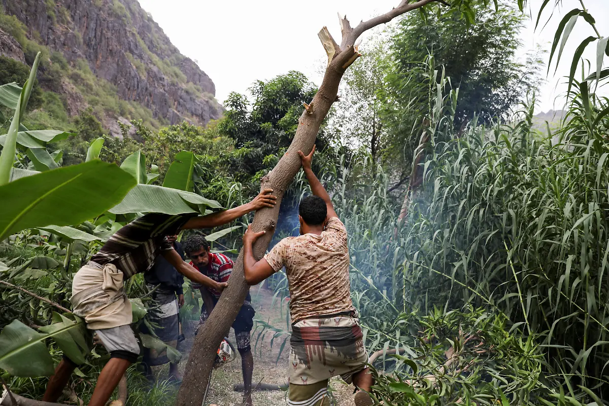 2021-08-11T090012Z-1231201968-RC2OXN91Y98D-RTRMADP-3-YEMEN-SECURITY-DEFORESTATION