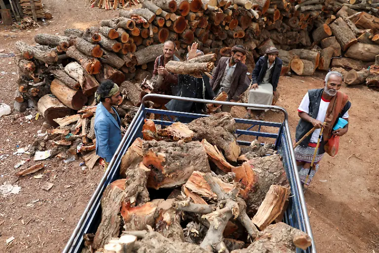Holz-fu-r-Brennholzmarkt