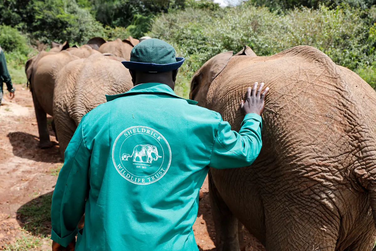 2020-04-09T000000Z-935526838-RC2Y0G9UEIT0-RTRMADP-3-HEALTH-CORONAVIRUS-AFRICA-CONSERVATION