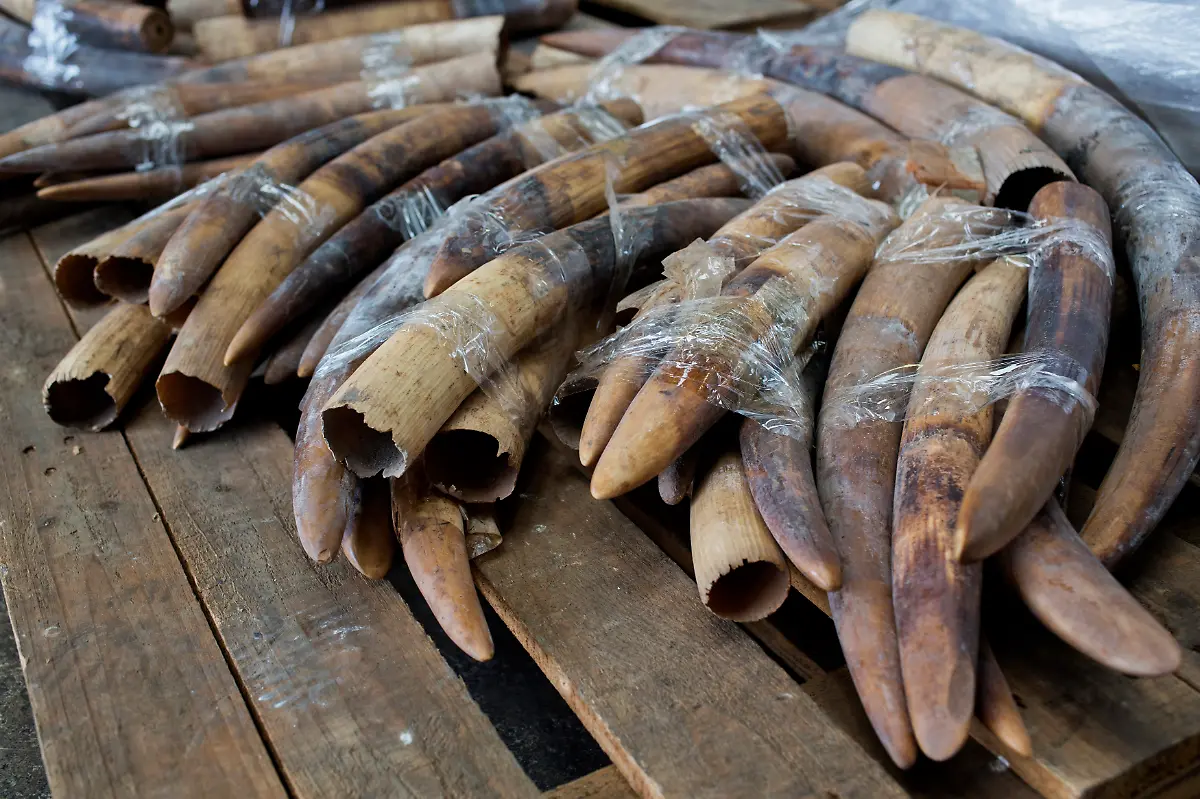 2013-07-19T120000Z-1685785749-GM1E97J1CY601-RTRMADP-3-HONGKONG