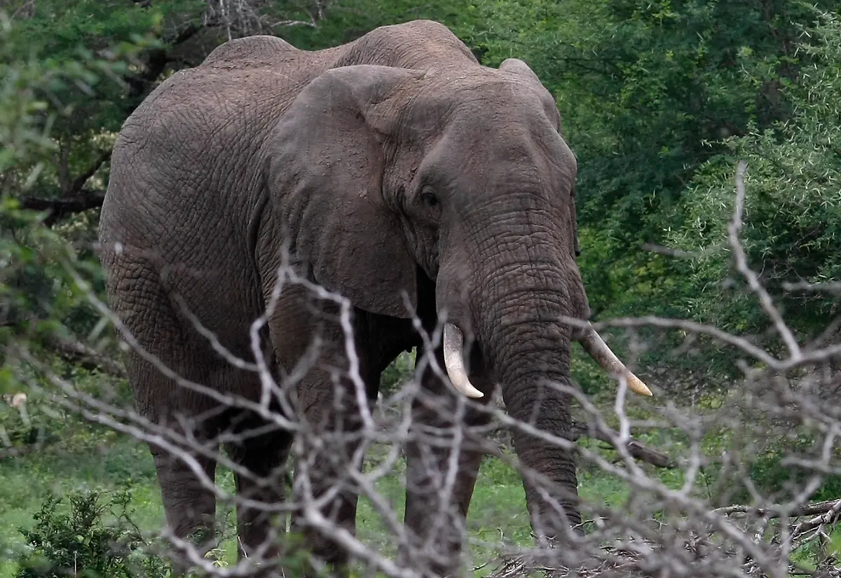 2009-12-14T120000Z-521608392-PM1E5CE0RS501-RTRMADP-3-SOCCER-WORLD