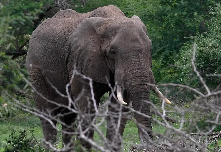 2009-12-14T120000Z-521608392-PM1E5CE0RS501-RTRMADP-3-SOCCER-WORLD