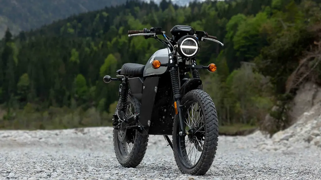 Black-Tea-Bonfire-Niclas-Moser-34