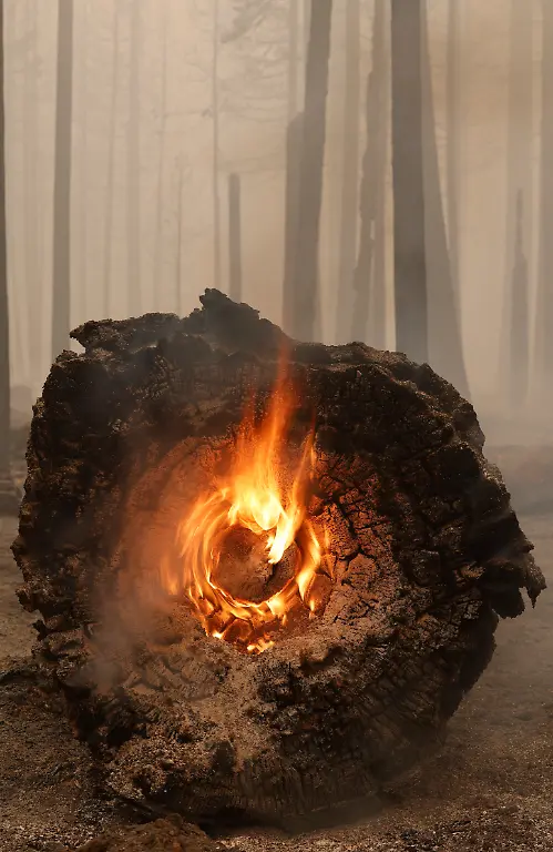 2021-08-07T013703Z-1632415172-RC200P9O9BNE-RTRMADP-3-USA-WILDFIRES-CALIFORNIA