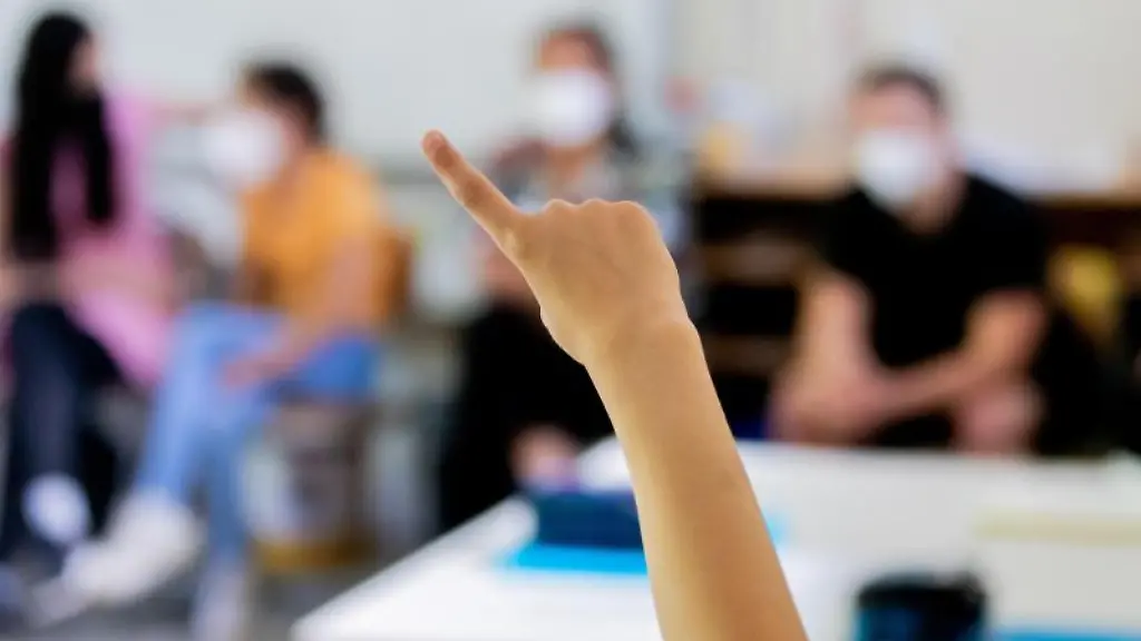 Ein-Schueler-meldet-sich