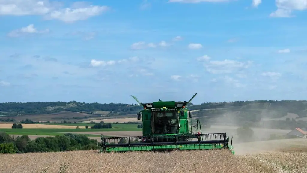 Ein-Maehdrescher-erntet-Raps-auf-einem-Feld