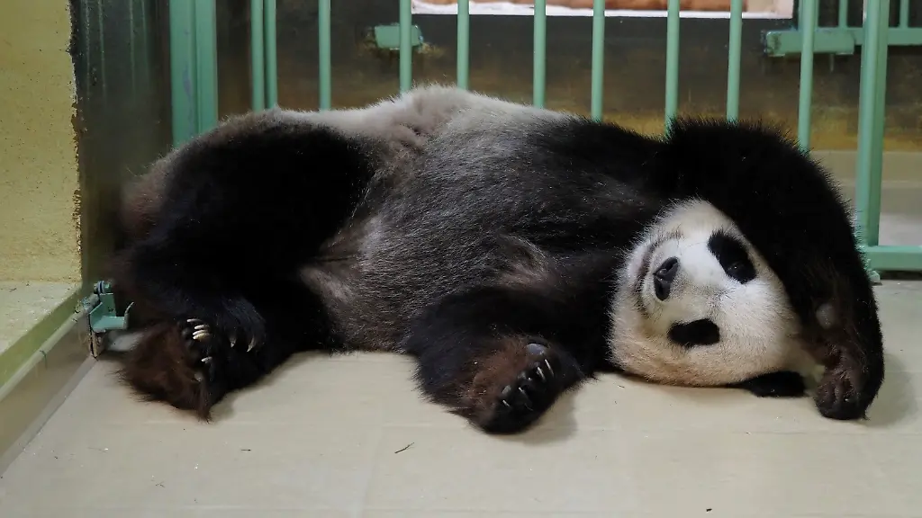 515aef144ef274bbd585d6be74d1c0ed