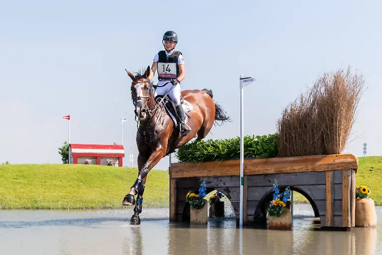 bdb541efd2c843ea1f6b02d896d40016