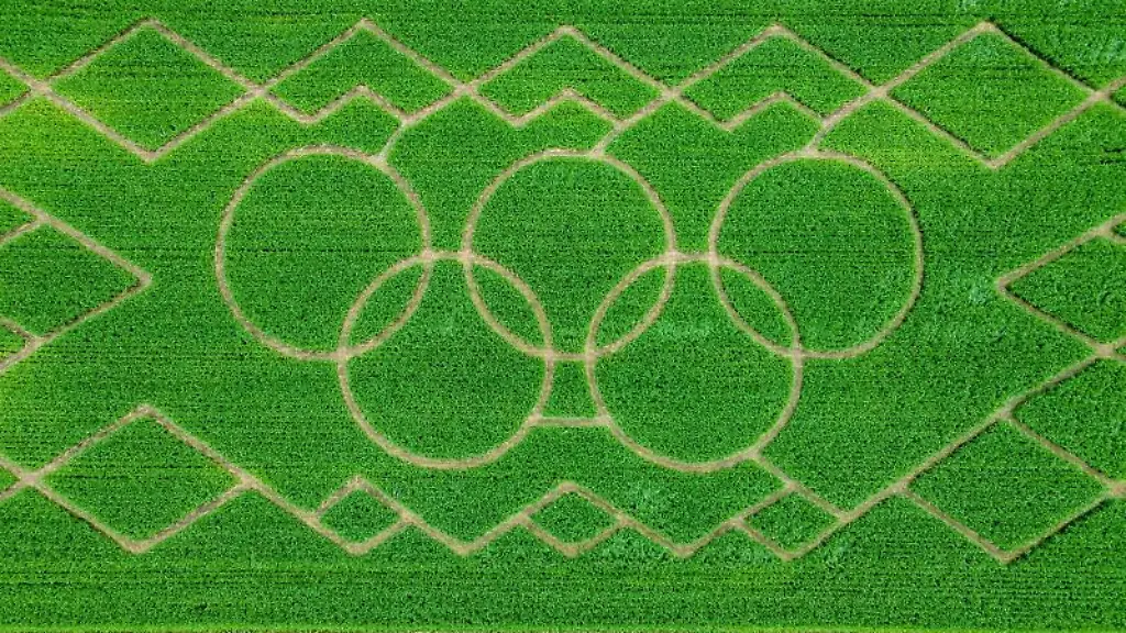 Die-Olympischen-Ringe-sind-im-vier-Hektar-grossen-Maisfeld-Labyrinth-am-Ortsrand-aus-der-Luft-zu-sehen