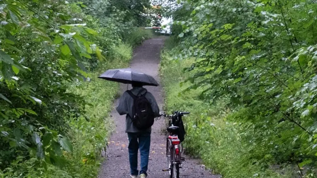 Ein-Mann-laeuft-bei-anhaltendem-Regen-im-Wald-mit-einem-Regenschirm