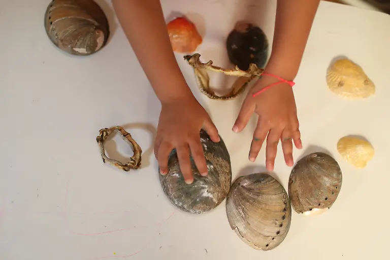 2021-07-14T000000Z-1542303636-RC2LKO91LRKH-RTRMADP-3-BRAZIL-OCEAN-MINI-DEFENDER