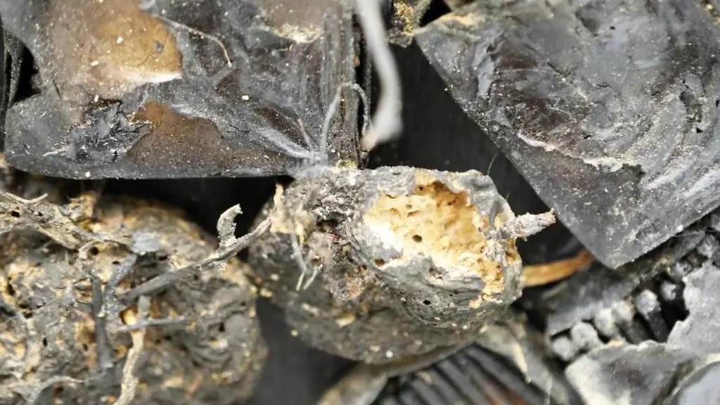 Das-Foto-zeigt-Frassloecher-der-Brotkaefer-im-Streichholzaltar-aus-dem-Museum-des-Wuerzburger-Doms