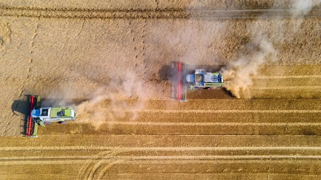 Maehdrescher-fahren-bei-der-Ernte-der-Wintergerste-ueber-ein-Feld