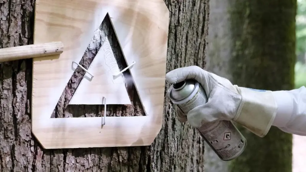 Eine-Schablone-wird-zur-Markierung-des-80-000-Habitatbaums-an-den-Baumstamm-gehalten