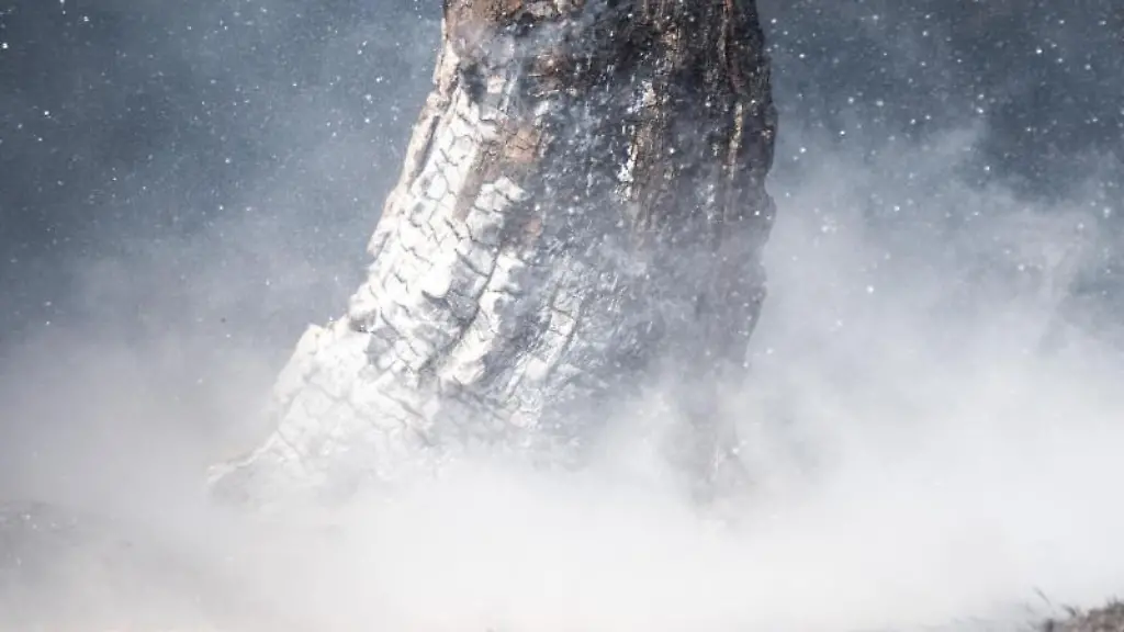 Baumstaemme-stehen-in-einem-Waldstueck-in-Flammen