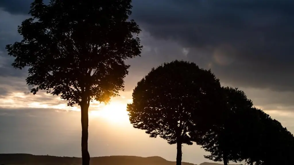 Die-Sonne-scheint-am-fruehen-Morgen-hinter-einer-Allee-und-Wolken
