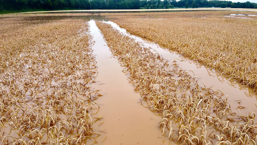 d8e5d8cccfc7489a70792d6cb26353d4