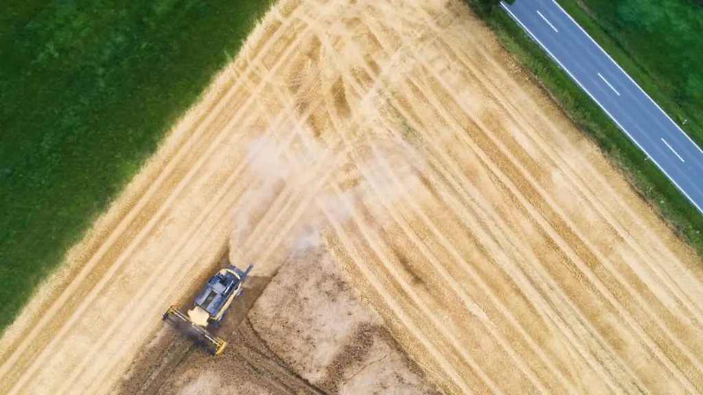 Ein-Landwirt-erntet-mit-einem-Maehdrescher-Getreide