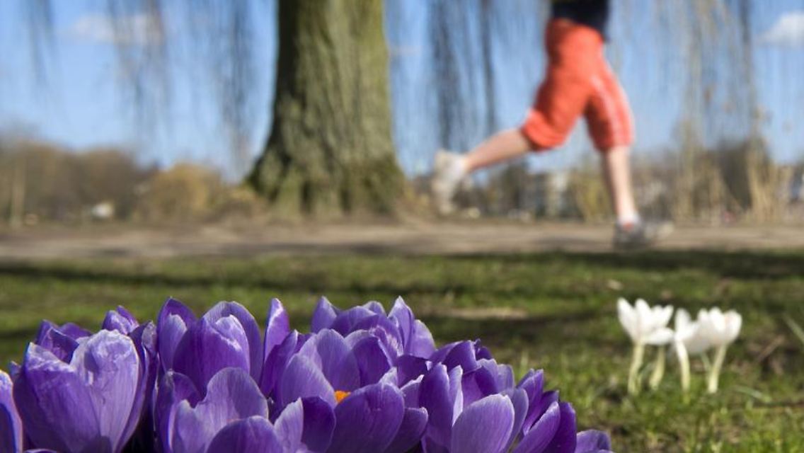 Wer mit der Frühjahrsmüdigkeit zu kämpfen hat, geht am besten raus: Bewegung an der frischen Luft und leichte Ernährung steigern das Wohlbefinden.