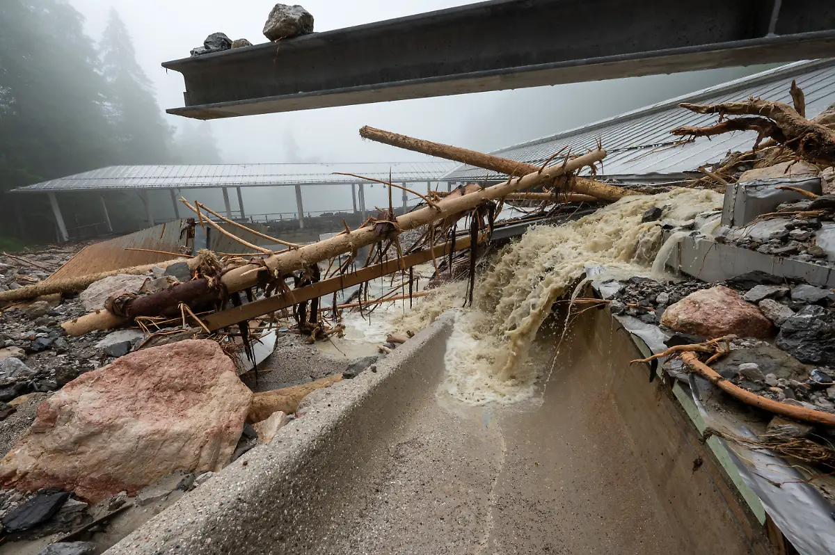 f9f0731e5febbe3e230e76cc07429173