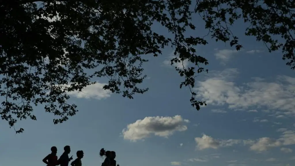 Menschen-joggen-an-einem-sonnigen-Tag