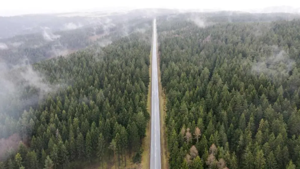 Nebelschwaden-steigen-vom-Thueringer-Wald-empor