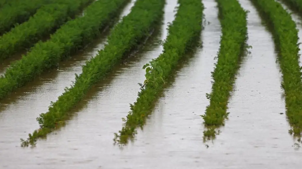 Wasser-steht-auf-einem-einem-Acker