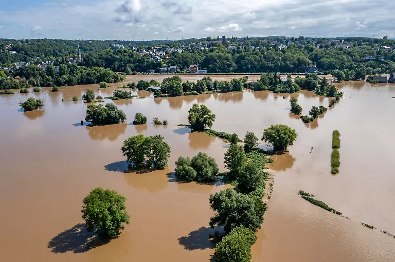 815a45ea33fa55fc79fee9a932583812