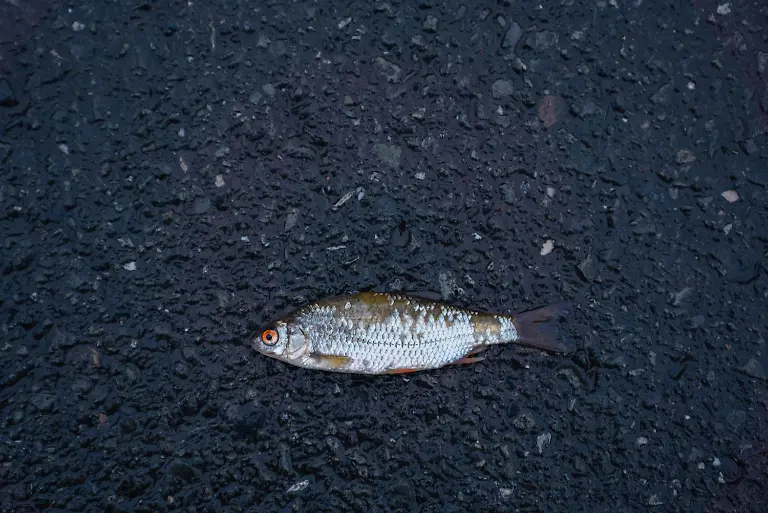 74141df910b3636e3aae57bfac3c7d75