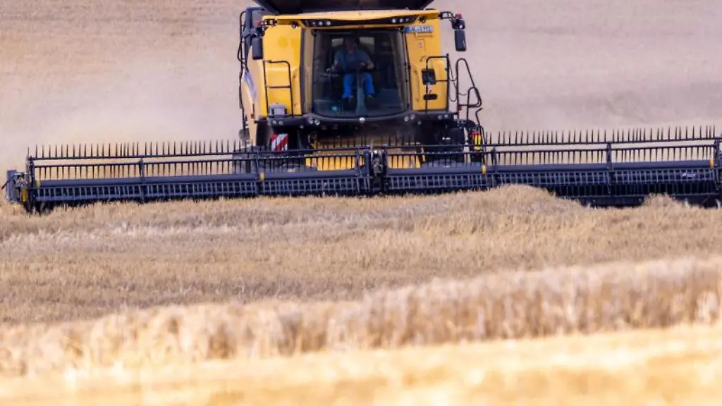 Ein-Maehdrescher-faehrt-bei-der-Ernte-ueber-ein-Feld