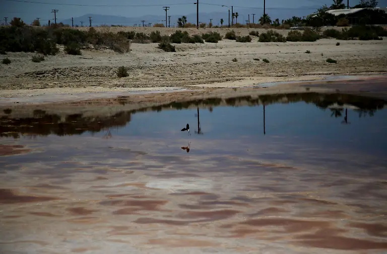 2021-07-06T173216Z-440739949-RC2WDO9UBFY3-RTRMADP-3-CALIFORNIA-DROUGHT